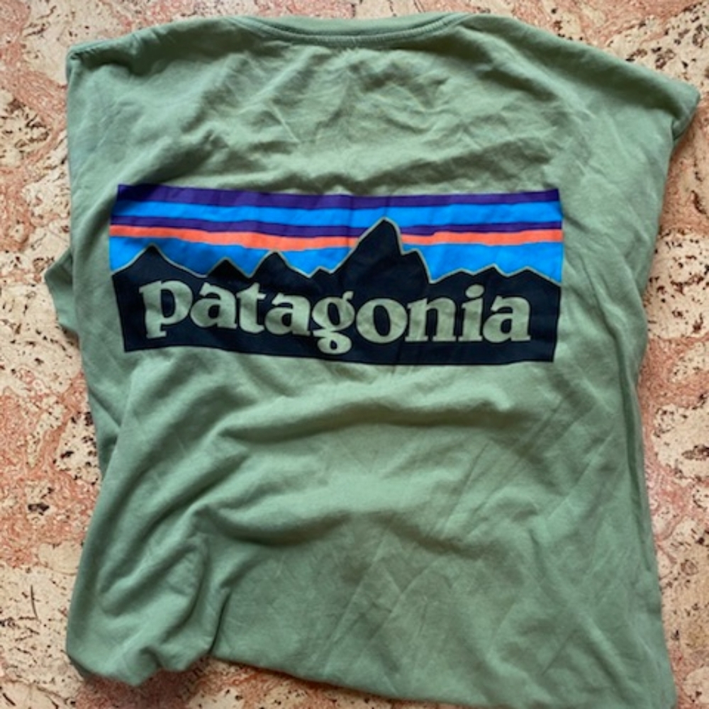 Patagonia T-Shirt